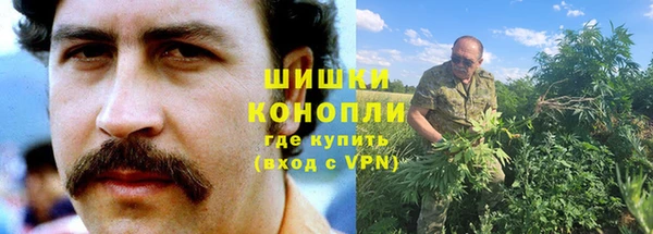 spice Мурманск