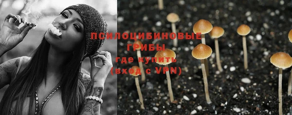 ECSTASY Нязепетровск