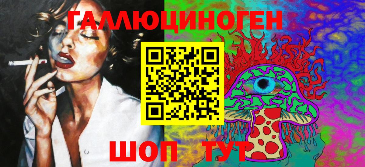Псилоцибиновые грибы Psilocybe Заводоуковск