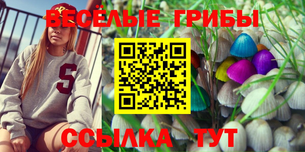 Псилоцибиновые грибы мухоморы  Псилоцибиновые грибы Cubensis  Заводоуковск 