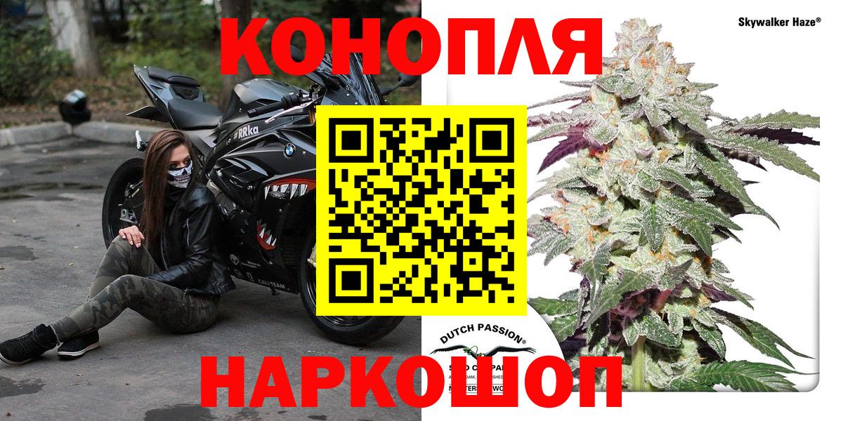 Бошки марихуана конопля  Каннабис SATIVA & INDICA  Заводоуковск 